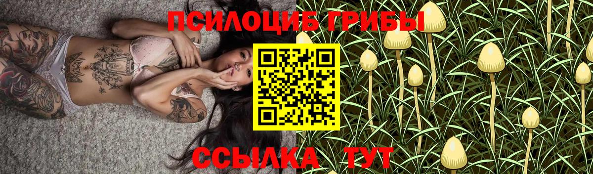 Галлюциногенные грибы GOLDEN TEACHER  Вход с VPN  Галлюциногенные грибы мухоморы  Саранск 