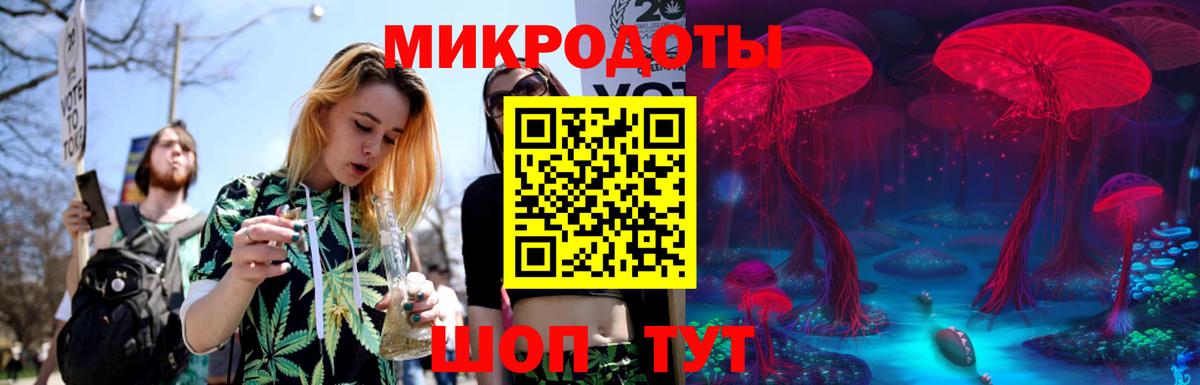 Галлюциногенные грибы Cubensis Саранск